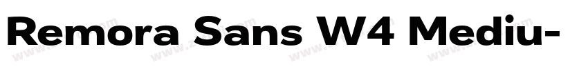 Remora Sans W4 Mediu字体转换